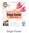 Ginger Flower  姜花块  54g